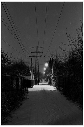 Illustration for article titled Shooting Challenge: Gray Winter